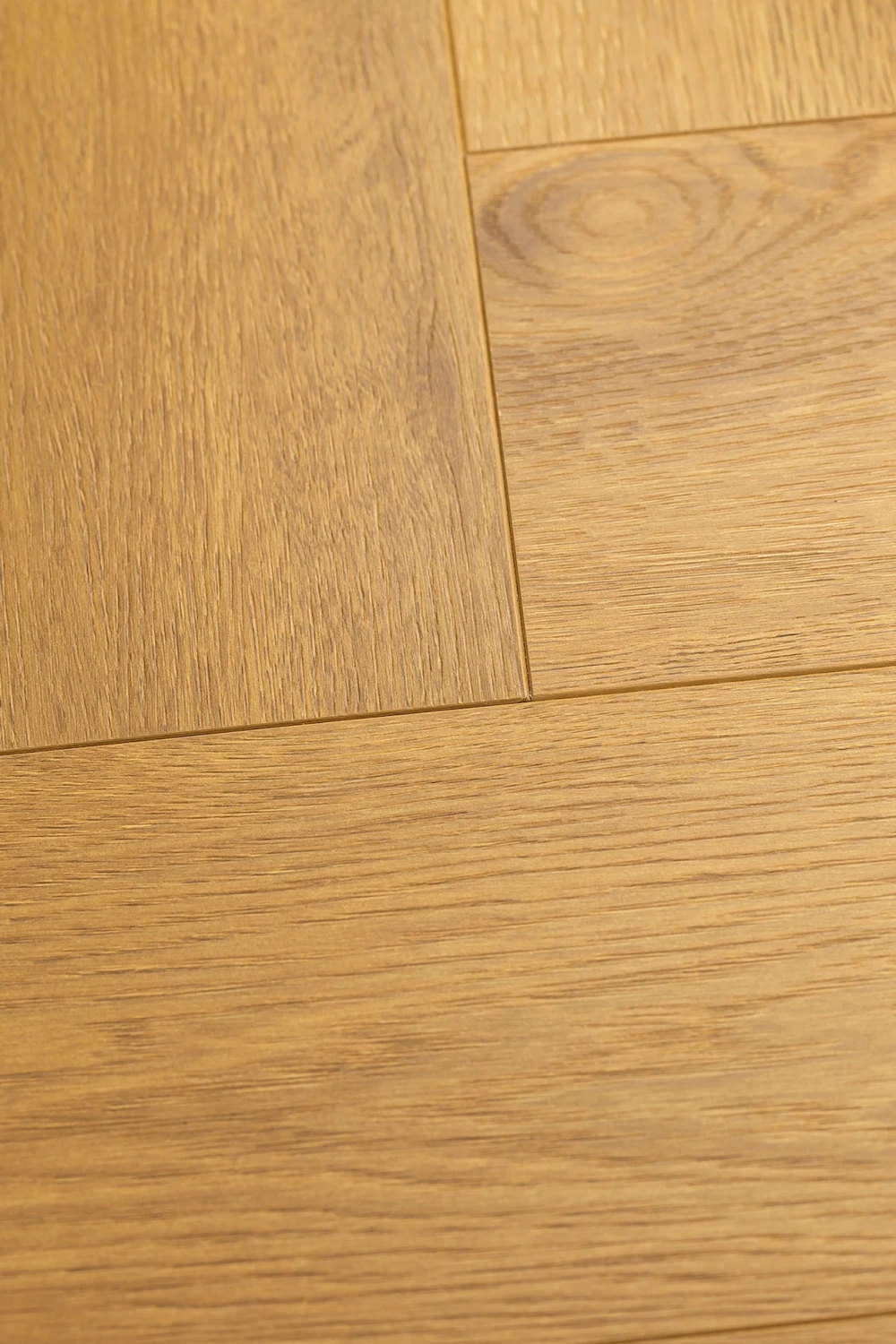 Дуб Апертус | Apertus oak 1F344