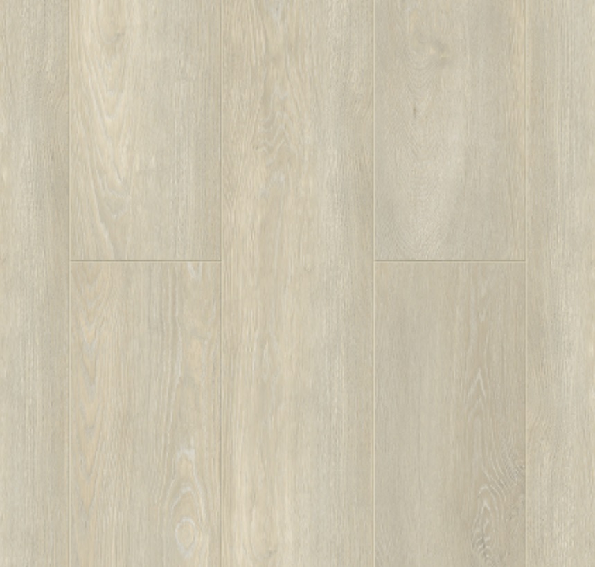 DIRETT0 1004-1