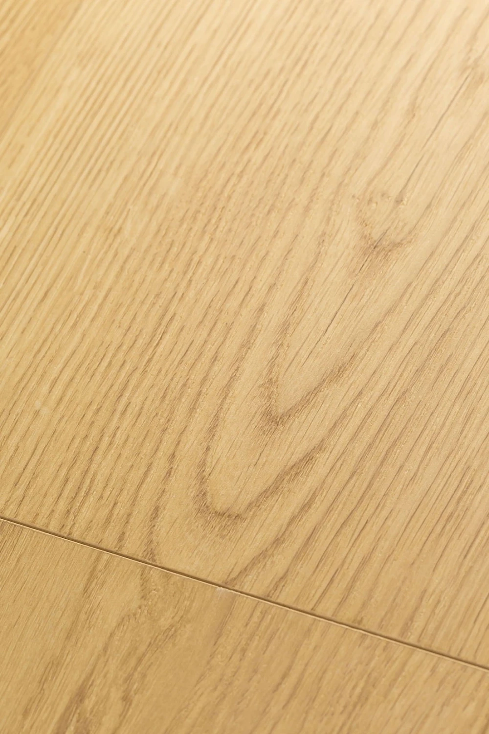 Дуб Рапсодия | Rhapsody oak 1F305