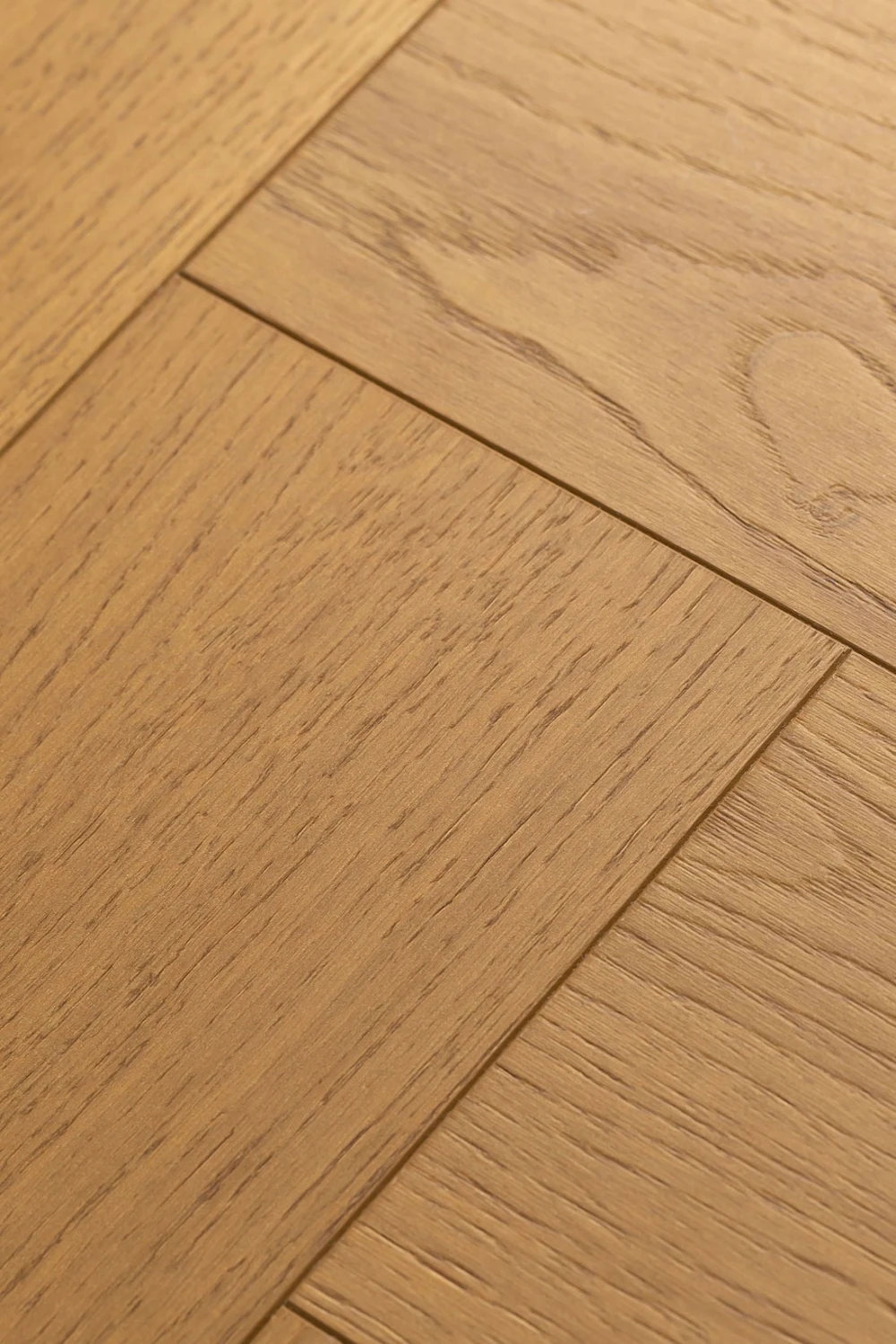 Дуб Джусто | Justo oak 1F339
