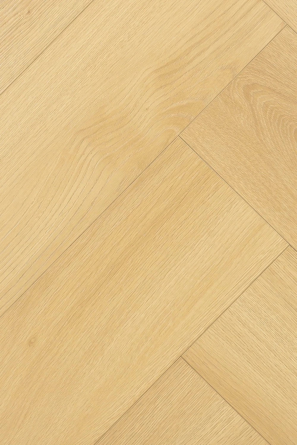Дуб Лояль | Loyal oak 1F408
