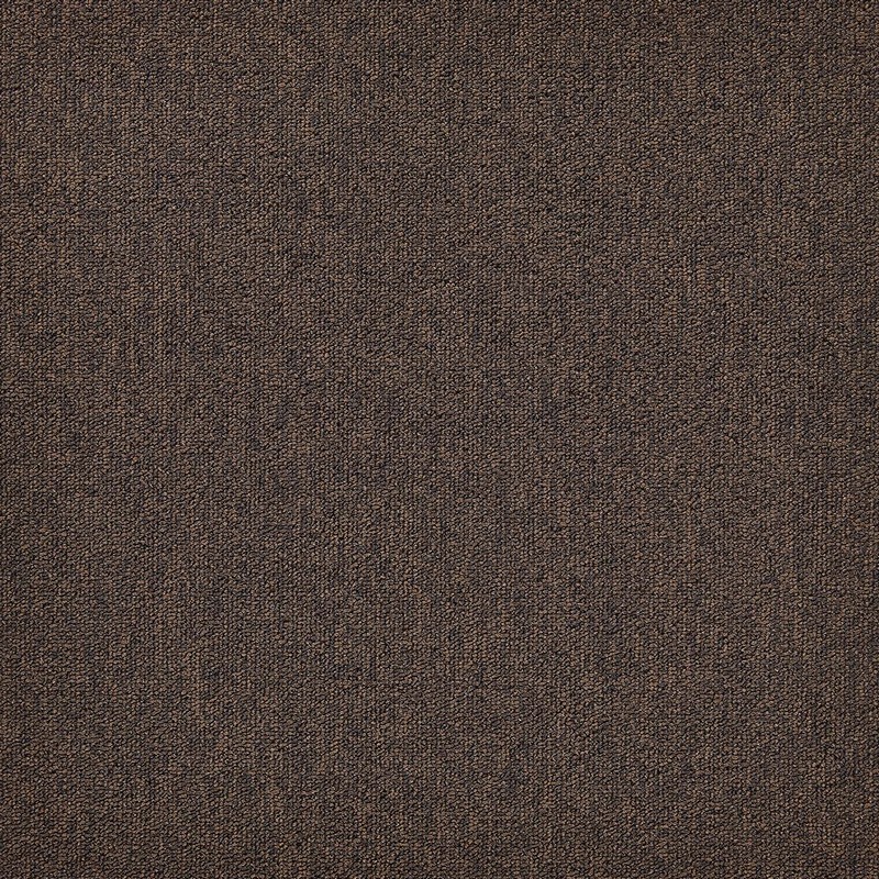 804