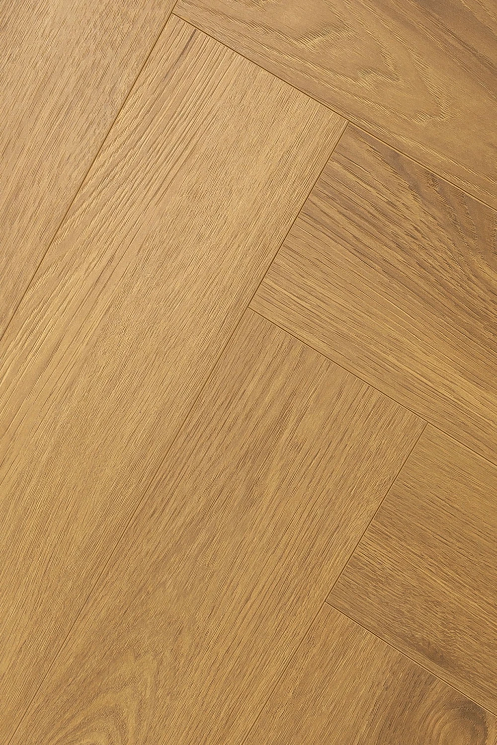 Дуб Апертус | Apertus oak 1F344
