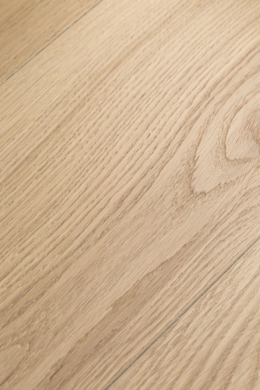 Дуб Грейс | Grace oak 1F414