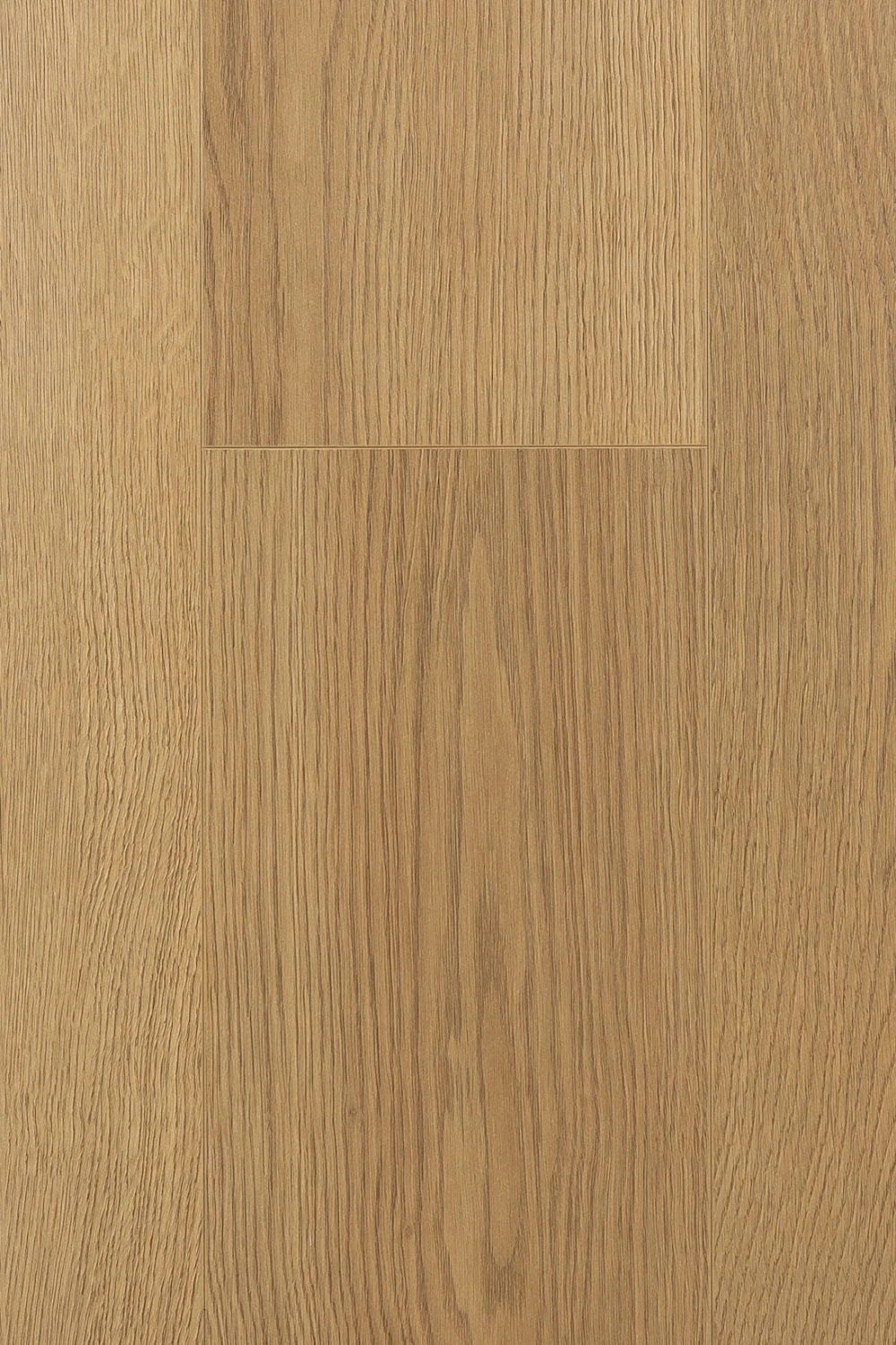 Дуб Апертус | Apertus oak 1F328