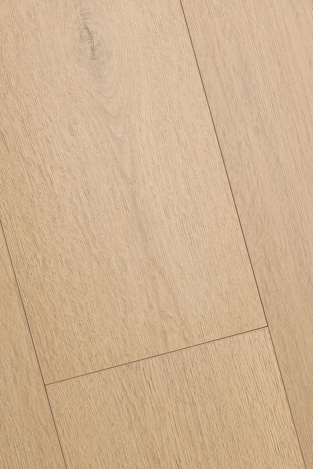Дуб Хакон | Hacon oak 1F427