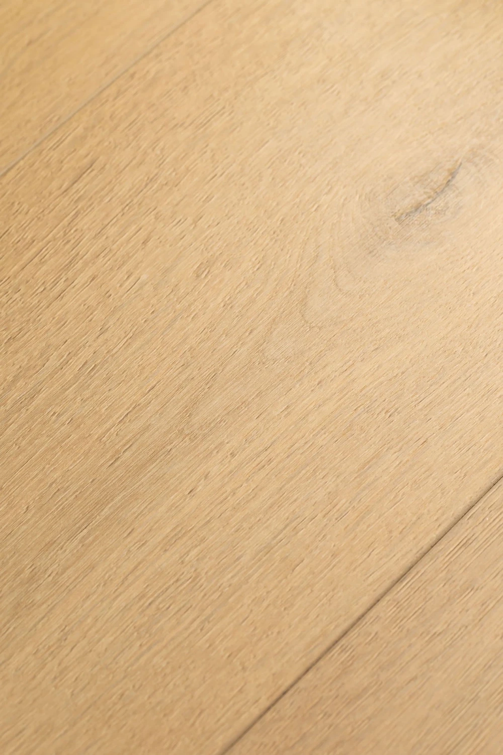 Дуб Хакон | Hacon oak 1F427